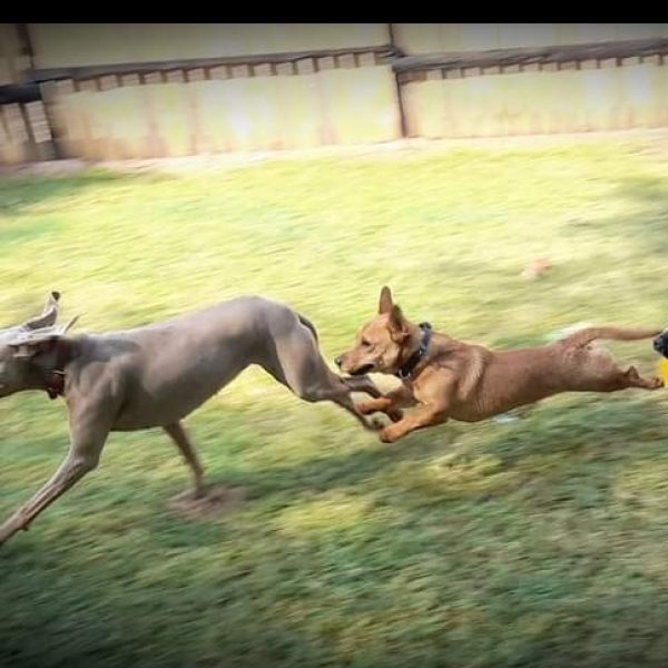 Screenshot_20220311-101120_Facebook(2)